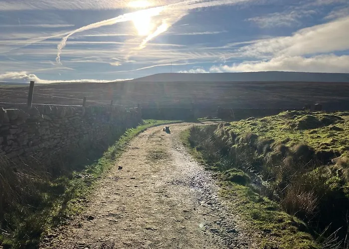 The Shearer's Hut In The Peak Park